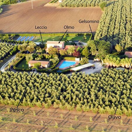 Podere Campi Al Mare โดโนราตีโก ภายนอก รูปภาพ
