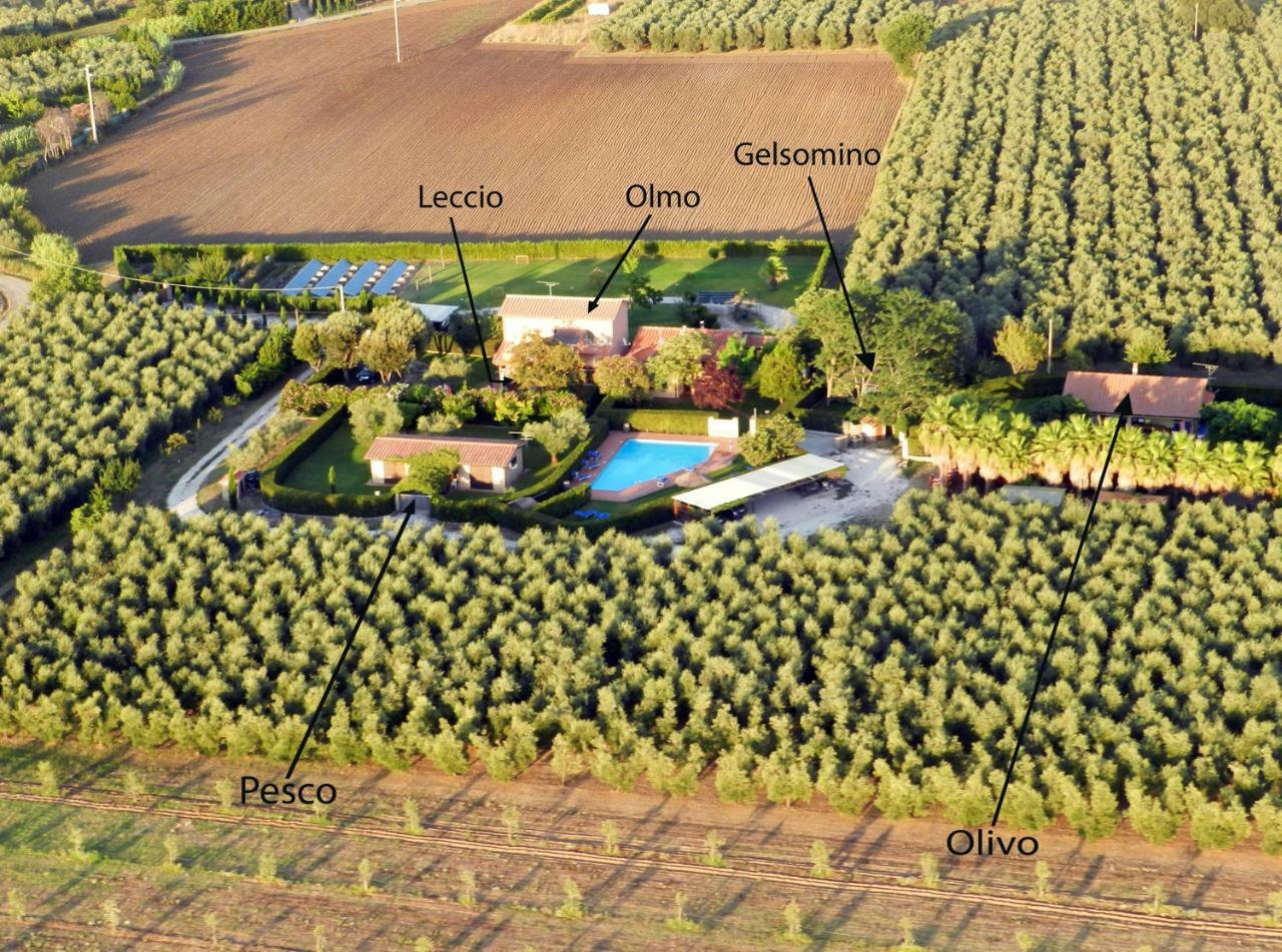 Podere Campi Al Mare โดโนราตีโก ภายนอก รูปภาพ